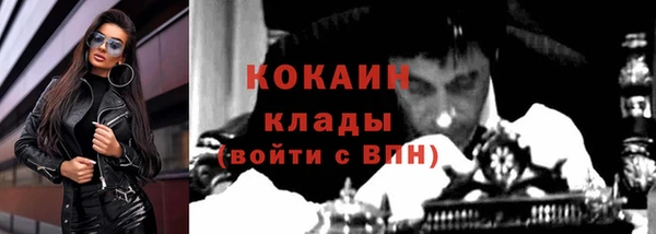 сатива Вязники