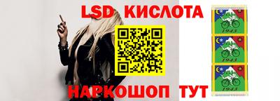 шишки Заводоуковск
