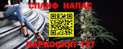 гидра Жуковский