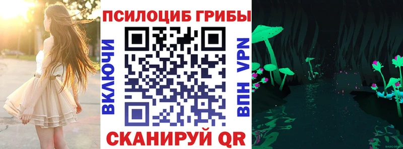 Галлюциногенные грибы мицелий  цена наркотик  Биробиджан 